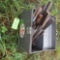 CONTAINER OF FILES