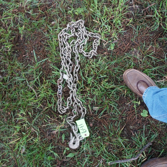 LOG CHAIN  12 FT. W/ HOOKS