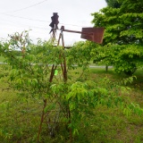 6.5 FT. WIND MILL