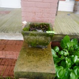 2 CONCRETE PLANTERS
