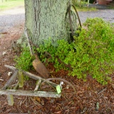 WAGON WHEEL, TURN PLOW, WHEEL BARROW