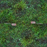 FLOOR JACK