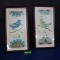 2 FRAMED BIRD PRINTS  25 X 13
