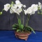 FAUX ORCHID ARRANGEMENT