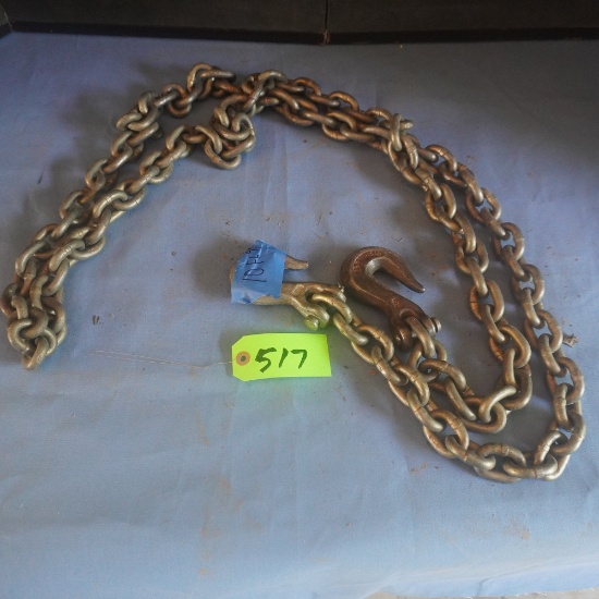 LOG CHAIN 11 FT. W/ HOOKS