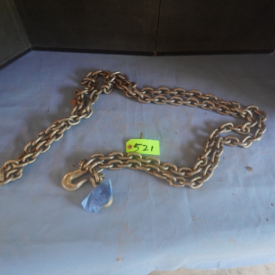 LOG CHAIN 12 FT. W/ HOOKS
