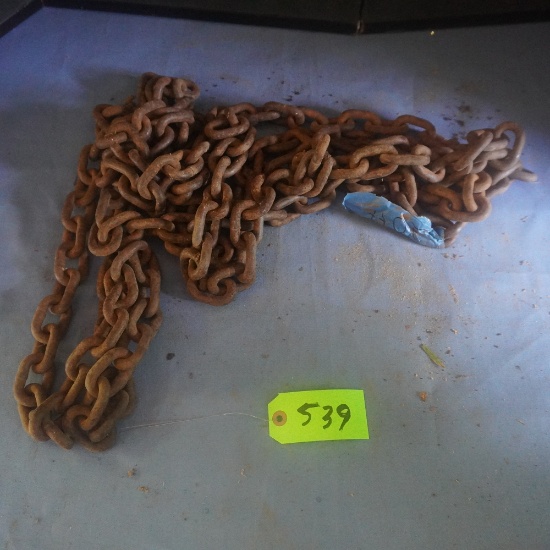 20 FT. LOG CHAIN NO HOOKS