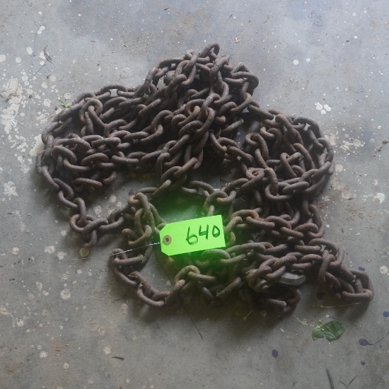 20 FT. LOG CHAIN