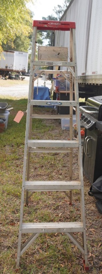 WERNER 6 FT. LADDER
