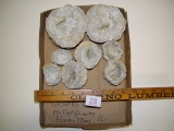 Quartz and calcite geodes from Miller Quarry Hamilton IL