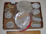 Geode lot. Geodes in bag are fluorescent