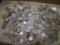 Approx.. 200 Wheat Back unculled Lincoln Cents