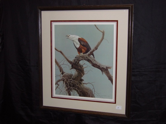 Framed and matted print “American Fish Eagle” signed by Robert Bateman 31x27