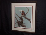 Framed and matted print “American Fish Eagle” signed by Robert Bateman 31x27