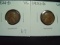 Two 1924-D Lincoln Cents   VG   Semi-Key Date