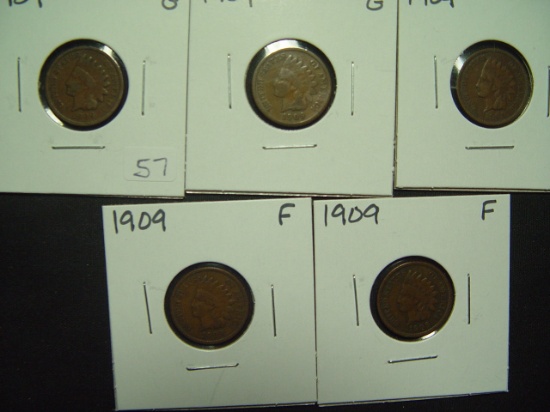 Five 1909 Indian Cents   Good to Fine