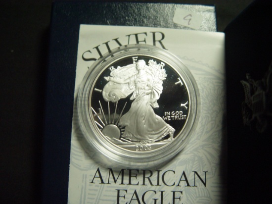 2003 Proof Silver Eagle
