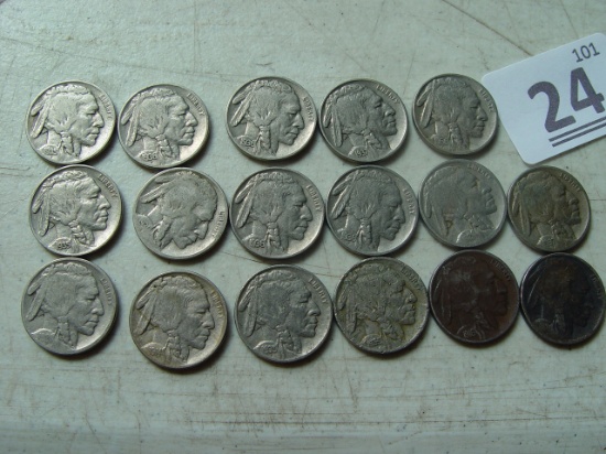 (17) Buffalo Nickels, 37-D, 29, 16-D