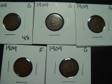 Five 1909 Indian Cents