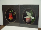 2 Prints, Columbine & Showy Lady's Slipper