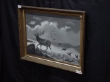 Framed Print, 21