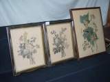 3 Framed Prints, 1 