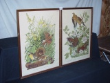 2 Audubon Prints, Meadow Lark, & Carolina Turtle Dove