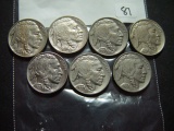 Seven AU Buffalo Nickels