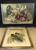 (2) Vintage Framed Prints: Still Life and Birds (LPO)