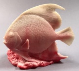 Carved Pink Carinia Coral Angel Fish