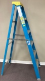Werner Electro-Master Model 6006 Step Ladder (LPO)