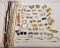 Large Lot of Assorted Costume Jewelry:  Shells