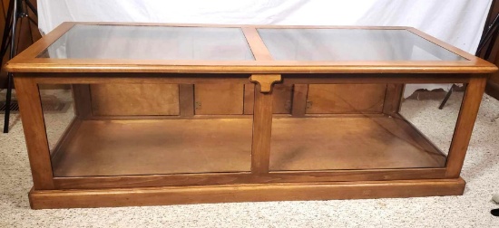 Display Case Coffee Table (LPO)