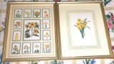 (2) Framed Flower Prints (LPO)