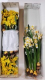 (2) Boxes of Yellow Silk Flowers