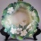 R S Prussia Floral Bowl