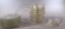 (8) Etched Glass Plates and (7) Matching Etched Glass Bowls (LPO)