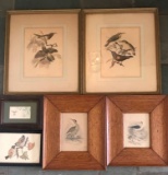 Bird Prints (LPO)