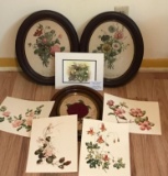 Floral Print Grouping (LPO)