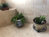 (3) Live Plants with Planters and Tullahoma Brick (LPO)