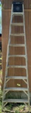 Werner 10' Aluminum Ladder (LPO)