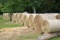 25.5 Clover/Timothy Hay Round Bales