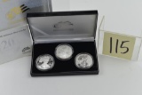 Silver American Eagle 20th Anniversary Coin Set