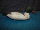 DECOYS