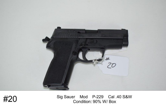 Sig Sauer    Mod    P-229    Cal .40 S&W    W/ Box