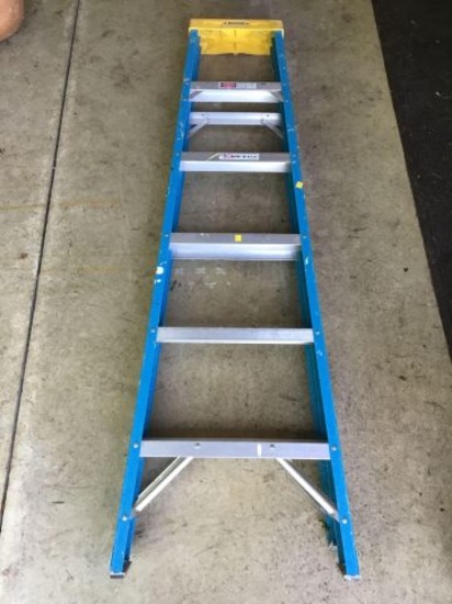 6ft Werner Step Ladder