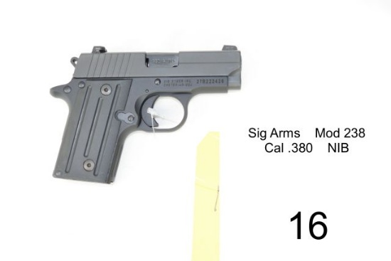 Sig Arms    Mod 238    Cal .380    NIB