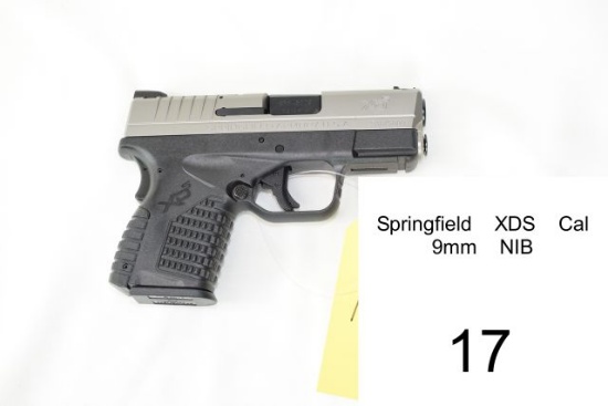 Springfield    XDS    Cal 9mm    NIB