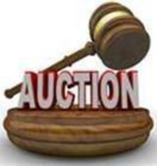 Coin Auction