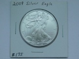 2009 SILVER EAGLE BU